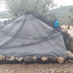 Copyright Marily Striux